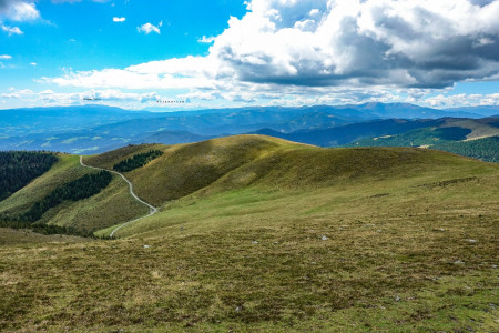 Sommeralm für die Lipizzaner